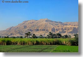 images/Africa/Egypt/Luxor/Scenics/mtns-n-farm.jpg