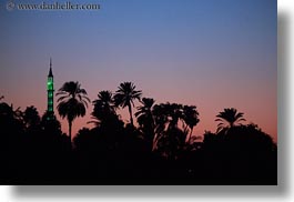 images/Africa/Egypt/Misc/mosque-n-palm_trees-at-dusk-04.jpg