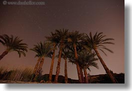 images/Africa/Egypt/Misc/nite-palm_trees-n-stars-01.jpg