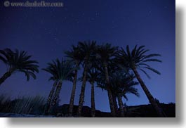 images/Africa/Egypt/Misc/nite-palm_trees-n-stars-02.jpg
