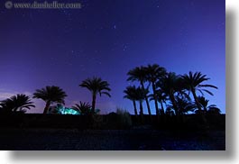 images/Africa/Egypt/Misc/nite-palm_trees-n-stars-03.jpg