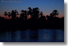 images/Africa/Egypt/Misc/palm_trees-at-dusk-01.jpg