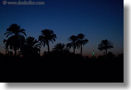 images/Africa/Egypt/Misc/palm_trees-at-dusk-02.jpg
