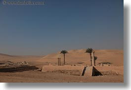 images/Africa/Egypt/Misc/palm_trees-in-desert-01.jpg