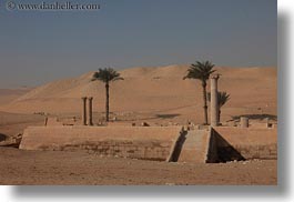 images/Africa/Egypt/Misc/palm_trees-in-desert-02.jpg