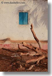 images/Africa/Egypt/NubianVillage/blue-window-n-dead-tree.jpg