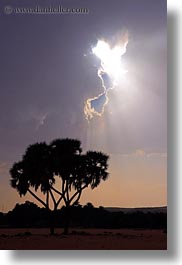 images/Africa/Egypt/NubianVillage/tree-n-crack-in-clouds-01.jpg