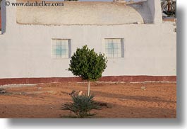 images/Africa/Egypt/NubianVillage/window-tree-bush-face.jpg