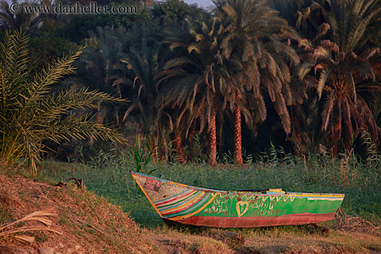 boat-n-palm_trees.jpg