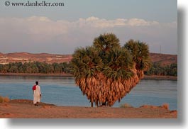images/Africa/Egypt/River/man-by-tree.jpg