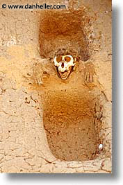 images/Africa/Mali/Timbuktu/monkey-skull.jpg
