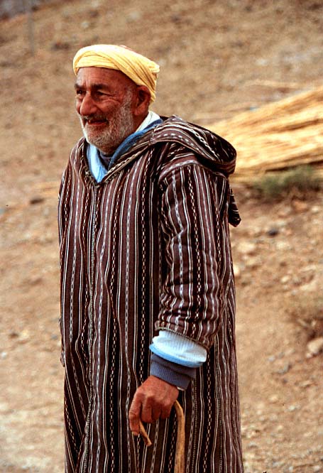 berber-t.jpg