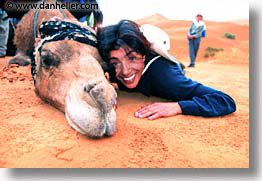 images/Africa/Morocco/Sahara/camel-cuddle.jpg