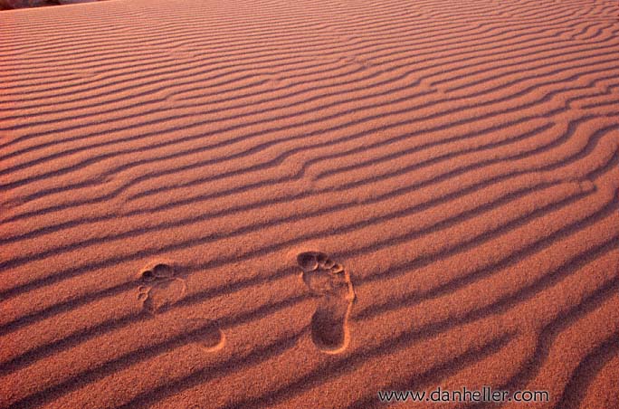 footprints.jpg