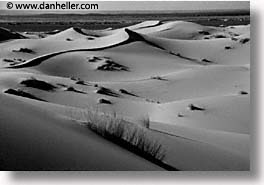 Photos/Pictures of Black and White Sahara Desert