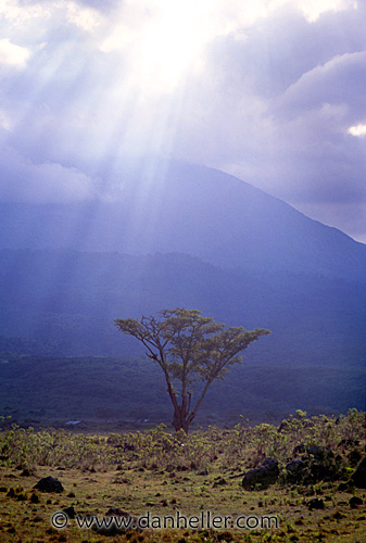 sun-clouds-tree.jpg