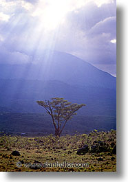 images/Africa/Tanzania/Arusha/sun-clouds-tree.jpg