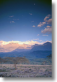images/Africa/Tanzania/Arusha/tiny-moon-over-mtns-n-tree.jpg
