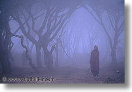 images/Africa/Tanzania/Maasai/maasai-fog.jpg