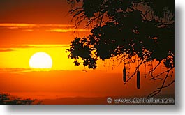 images/Africa/Tanzania/Sunsets/sunset04.jpg