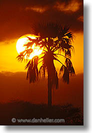 images/Africa/Tanzania/Sunsets/sunset09.jpg