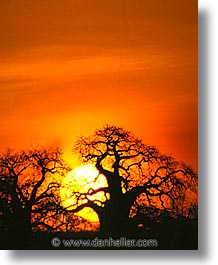 images/Africa/Tanzania/Sunsets/sunset14.jpg