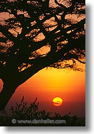 images/Africa/Tanzania/Sunsets/sunset15.jpg