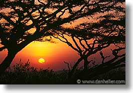 images/Africa/Tanzania/Sunsets/sunset16.jpg