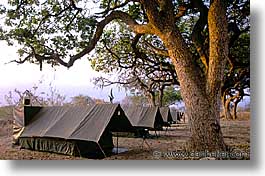 images/Africa/Tanzania/Tarangire/Misc/tent01.jpg