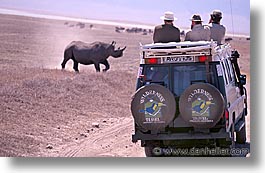 images/Africa/Tanzania/Tarangire/Pachyderms/rhino-view.jpg