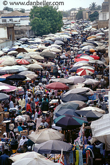 market-umbrellas.jpg