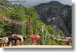 images/Asia/Bhutan/Animals/horses-n-prayer-flags-01.jpg