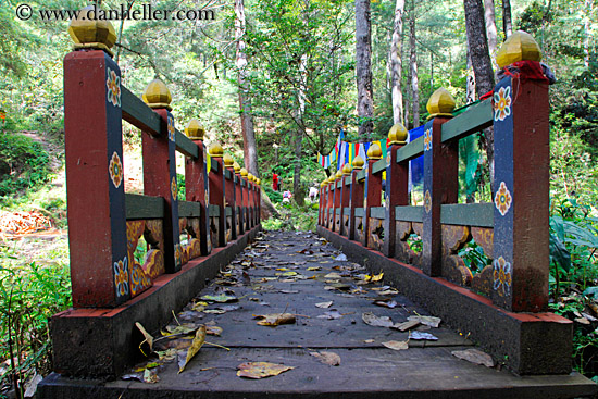 leaf-covered-bridge-03.jpg