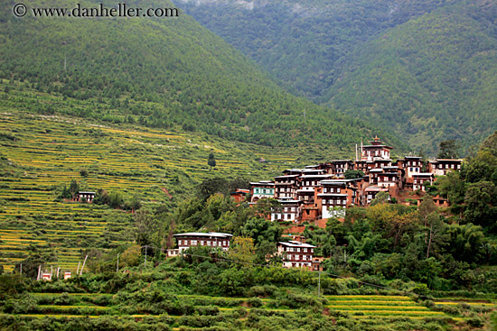 houses-on-green.jpg