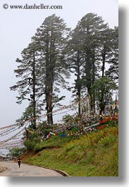 images/Asia/Bhutan/DochulaPass/foggy-road-02.jpg
