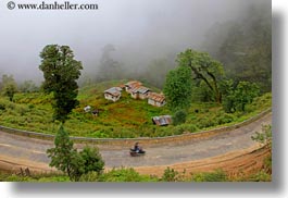 images/Asia/Bhutan/DochulaPass/foggy-road-04.jpg