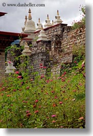 images/Asia/Bhutan/KhamsumUlleyChorten/flowers-n-chorten-02.jpg