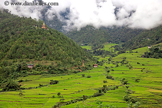 khamsum-ulley-chorten-n-fields-02.jpg