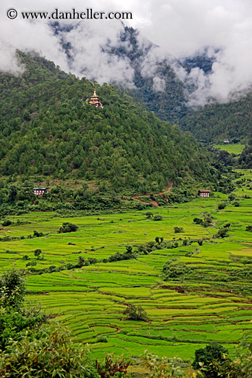 khamsum-ulley-chorten-n-fields-04.jpg