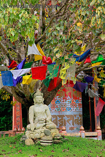 prayer-flags-n-buddha-02.jpg