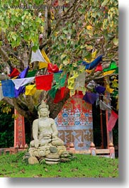 images/Asia/Bhutan/KhamsumUlleyChorten/prayer-flags-n-buddha-02.jpg