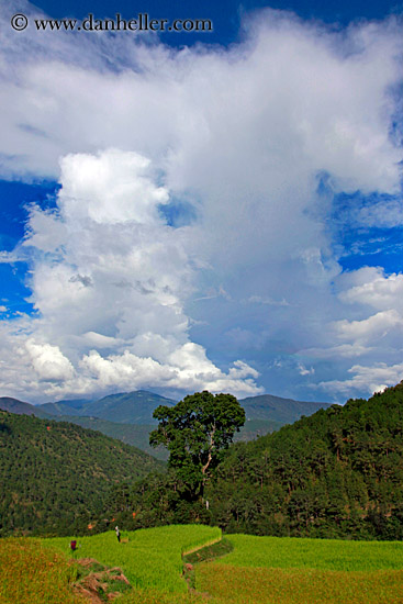 cumulus-clouds-n-lush-landscape-05.jpg