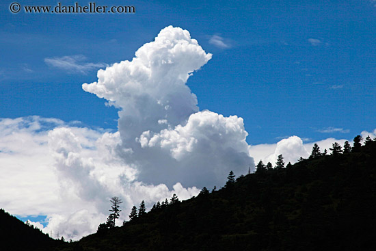 cumulus-clouds-n-tree-sil.jpg