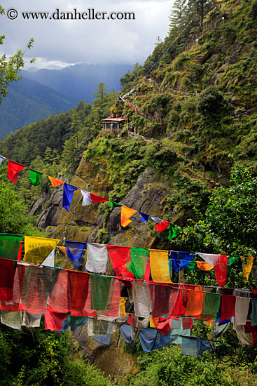 prayer-flags-n-lush-mtn-03.jpg