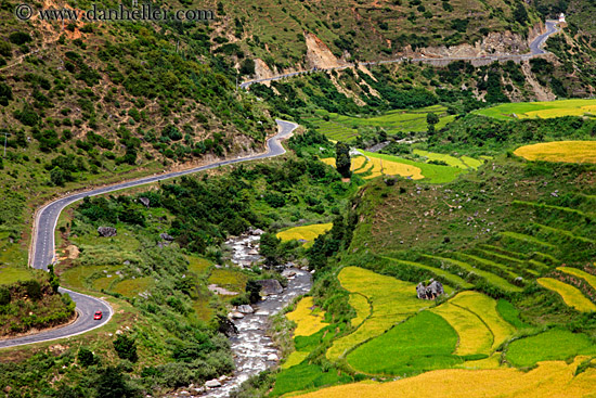 car-by-river-w-rice-fields.jpg