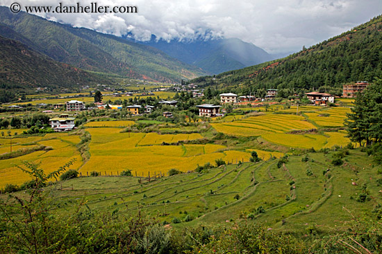 rice-field-valley-02.jpg