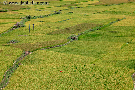 rice-field-valley-03.jpg