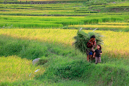 woman-carrying-rice-02.jpg