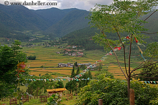 prayer-flags-n-valley.jpg