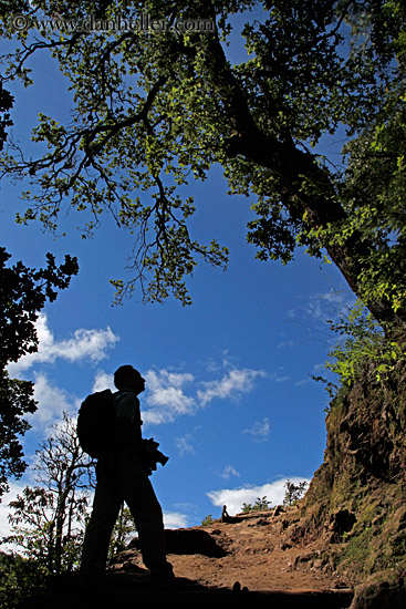 hiker-silhouette.jpg